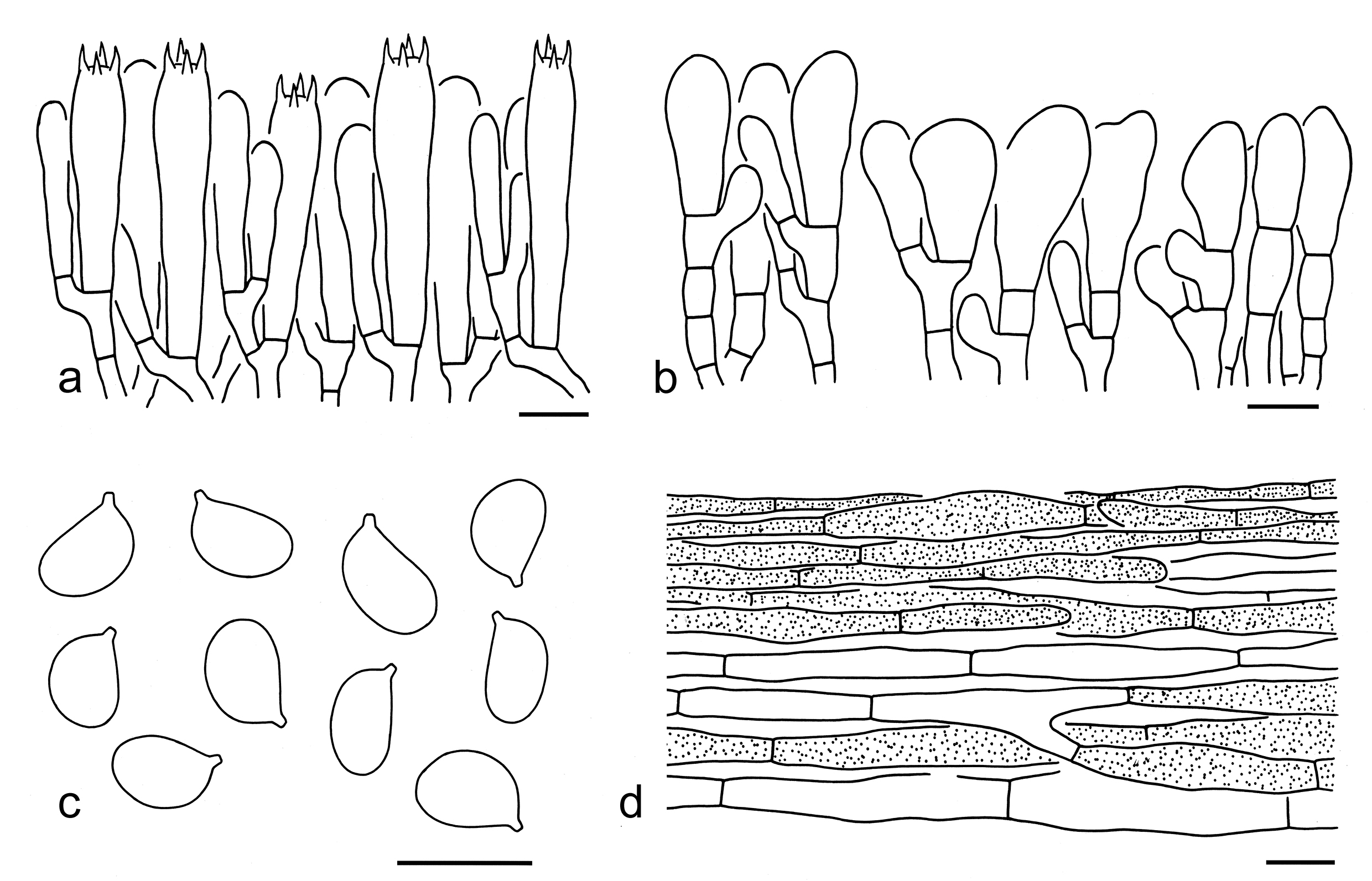 Figure 61